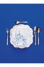 Plate Royal White 28cm