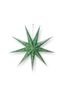 Christmas Star Paper Overall Print Dark Green 110cm
