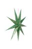 Christmas Star Paper Overall Print Dark Green 110cm