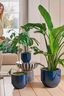 Flower Pot Blue 32cm