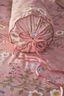 Roll Cushion Lotus Lullaby Pink