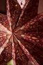 Christmas Star Paper Overall Print Dark Red 110cm